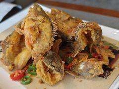 -魚當家