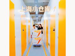 -安东易迷你自助仓储寄存仓库(杨浦店)