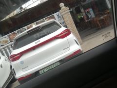 -大岗仙庙烧鸡(海南总店)