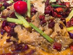 -老板恋上鱼(恒隆广场店)