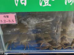-阳澄湖大闸蟹·琼灵阁牌品牌连锁(吴中总店)