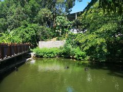 -泉州海丝野生动物世界