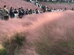 -牛岗山公园