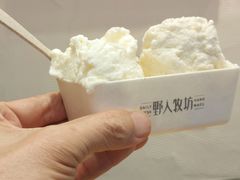 -野人先生现做冰淇淋(北京环宇荟店)