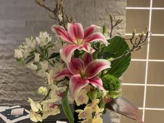 -璞肴中餐厅(深铁铂尔曼店)