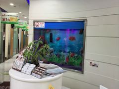-雅悦齿科(顾村公园店)