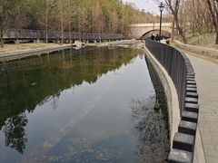 -白水寺森林公园
