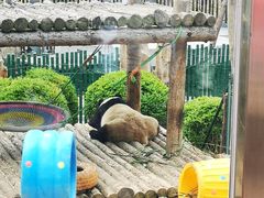 -大连森林动物园