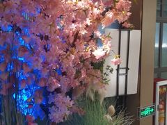 -野妹火锅(龙岗店)