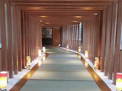 -重庆南山海昌汤都