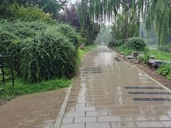 -元大都城垣遗址公园