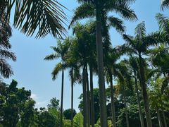 -中国科学院西双版纳热带植物园