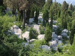 -原山国家森林公园