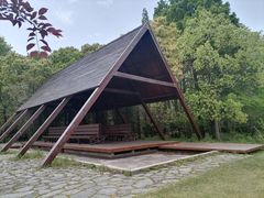 -上海滨江森林公园