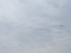 -星海广场