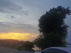 -八仔大富楼·河鲜(西江店)