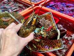 -巽寮印象美食部落餐厅·海鲜·地方特色菜(惠州体验店)