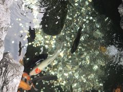 -黄埔古港