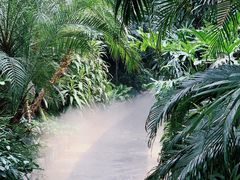 -郑州植物园