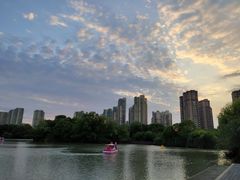 -青枫公园