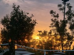 -爪吧宠物乐园 (温榆河示范区店)