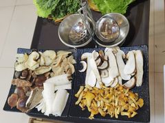 -蘑统田下·野生菌火锅