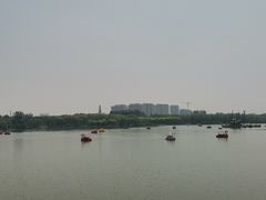 -大兴滨河森林公园