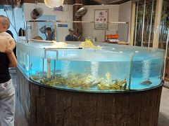 -耕渔小院·湖南鱼鲜(望城店)