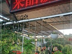 门面-来韶饭店