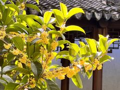 -秋霞圃