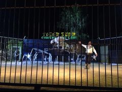 -清迈夜间动物园