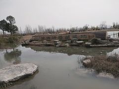 -泗洪洪泽湖湿地景区