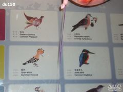 -北京麋鹿生态实验中心