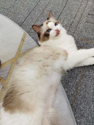 -元一肌肤管理中心