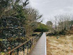 -济州森林小火车生态公园