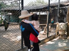 -观澜山水田园