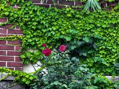 -青岛德国监狱旧址博物馆