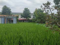 -洪湖家庭农场·团建·露营·会议