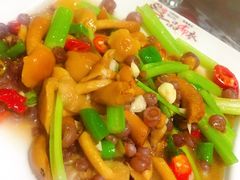 海梨菇炒滑子菇-渔老大·有机鱼馆·老字号(古城店)