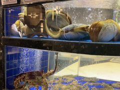 -一品鲜海鲜火锅(海信广场店)