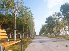 -贝林大翅鲸简餐厅(国家海洋博物馆店)