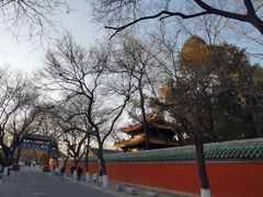 -北京国子监胡同