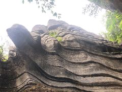 -梭布垭石林景区