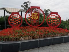 -金鸡山公园
