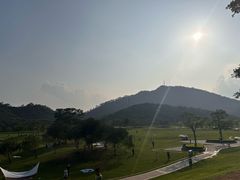 -风云岭森林公园