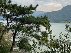 -羚羊峡古栈道森林公园