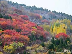 -博山九龙峪风景区