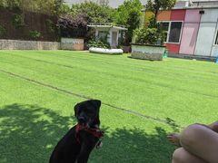 -汪说喵讲宠物乐园宠物酒店(红星美凯龙店)