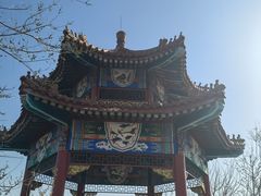 -白水寺森林公园