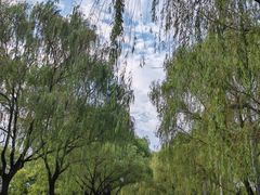 -西安世博园